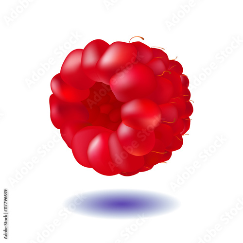 Raspberry on a white background