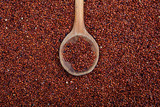 Wooden spoon on raw red quinoa