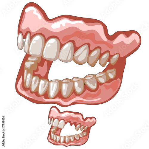 Funny dentures with white natural-looking teeth