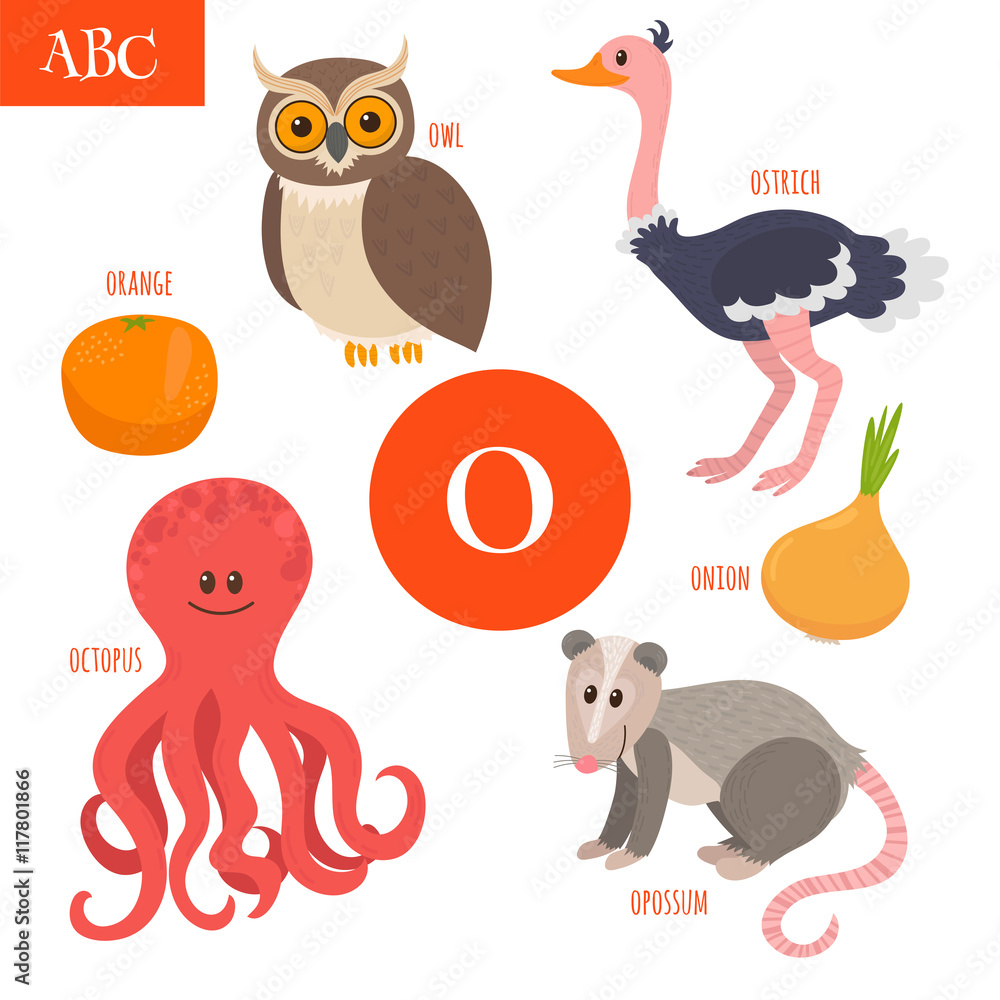 Letter O. Cartoon alphabet for children. Owl, opossum, ostrich, Stock Vector | Adobe Stock Letter O. Cartoon alphabet for children. Owl, opossum, ostrich, Stock Vector | Adobe Stock