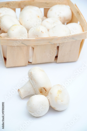 Fresh Champignons on a white background Isolated