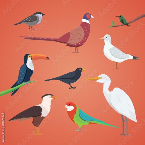 set of different birds isolated. vector collection cartoon bird