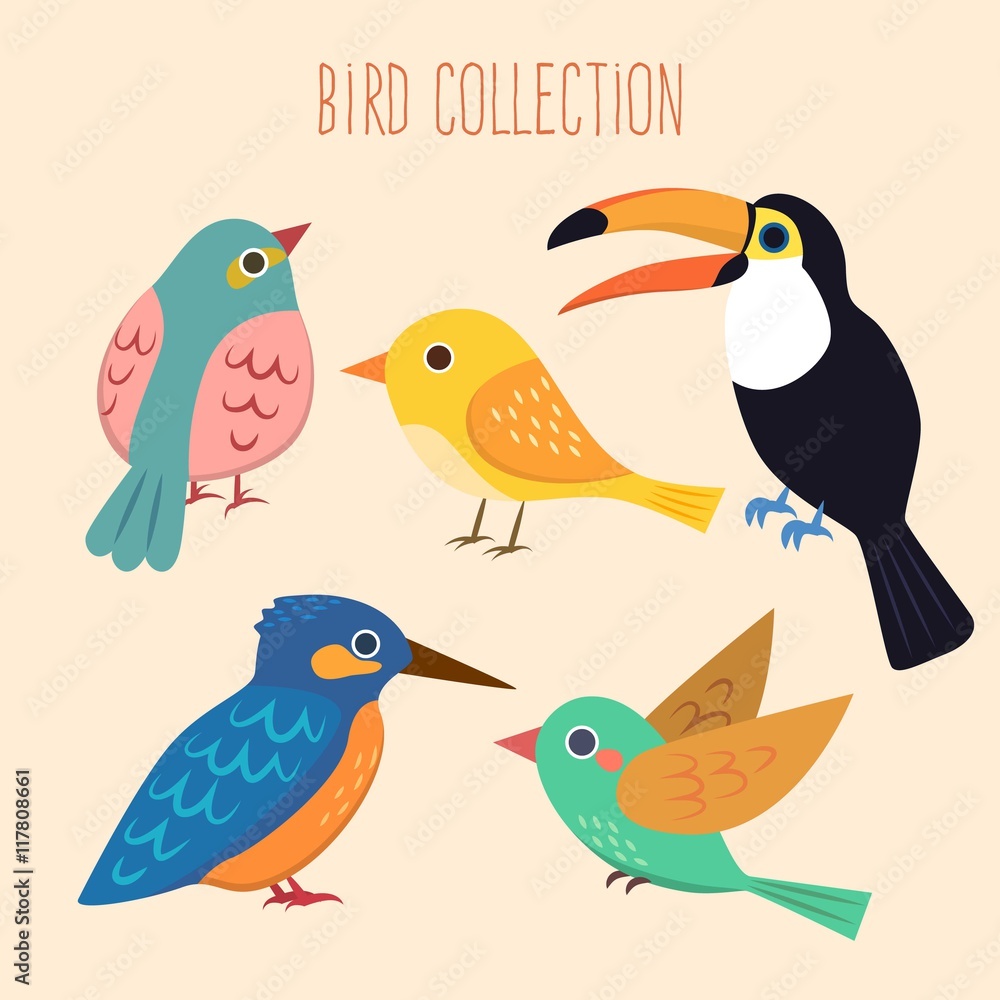 Cute birds collection Cute birds collection