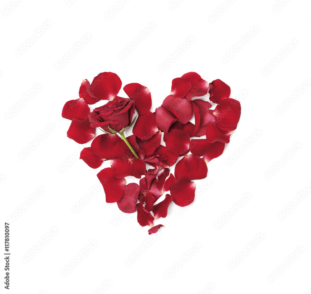 Heart made from roses petals isolated on white background top view. Flat lay. Heart made from roses petals isolated on white background top view. Flat lay.