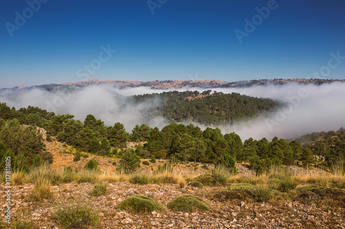 Foggy mountains landscape