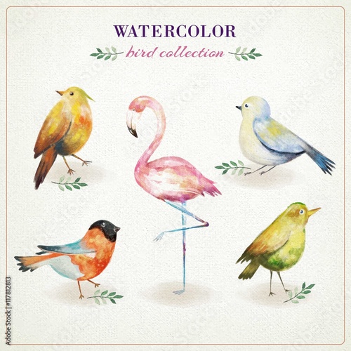 Watercolor cute birds collection