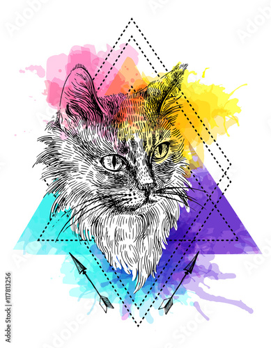 sketch of cat