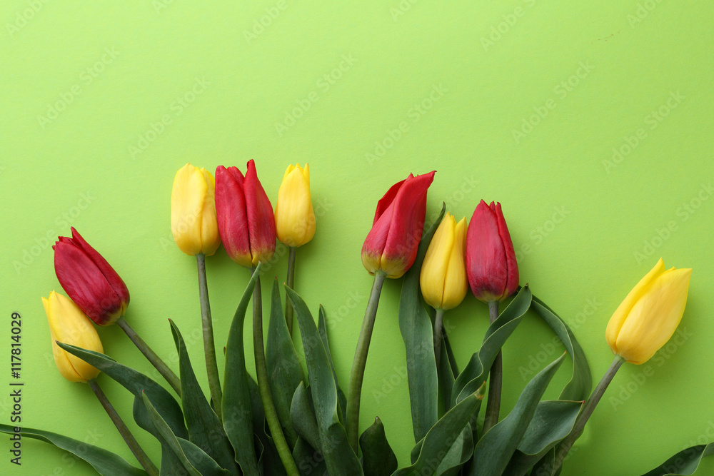 Fototapeta Wiosenne kwiaty na zielonym tle papieru