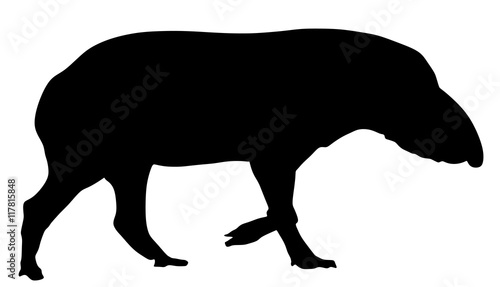 Tapir vector silhouette illustration isolated on white background.