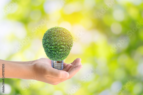 Human hands holding the energy saving lamp of tree on green nature background.Concept for saving energy, global warming, Earth Day, Go Green and save the world.