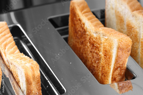 Toast in toaster / Slices of toast in a toaster photo