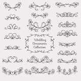 Sketches wedding ornament collection