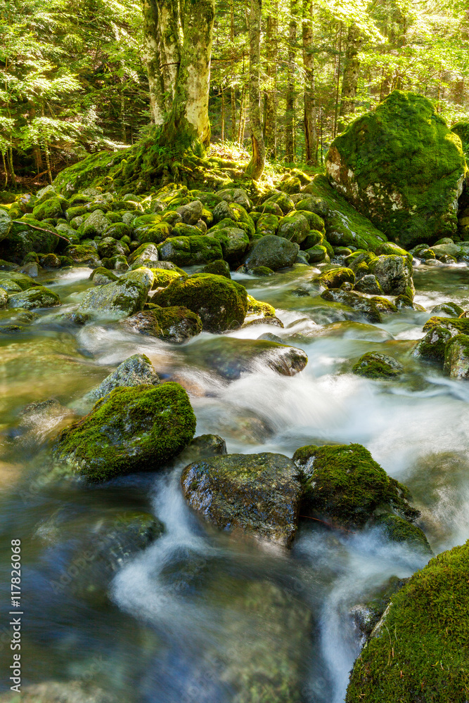 Obraz premium torrente