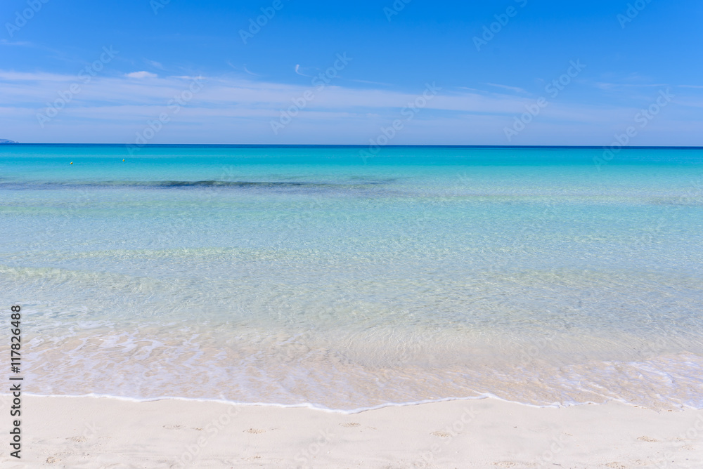 Obraz premium Beach Es Trenc - beautiful coast of Mallorca, Spain