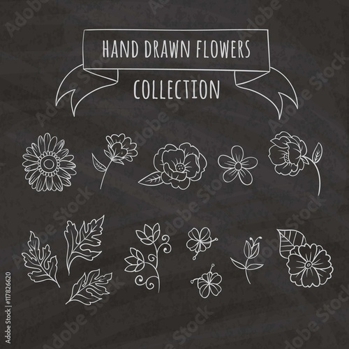 Hand drawn flowers set in spring