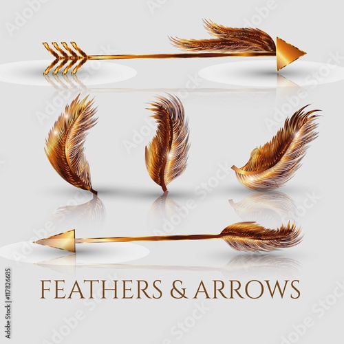 Realistic golden arrows and feathers