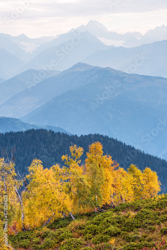 Autumn Landscape with birch forest in the mountains of Georgia © Oleksandr Kotenko