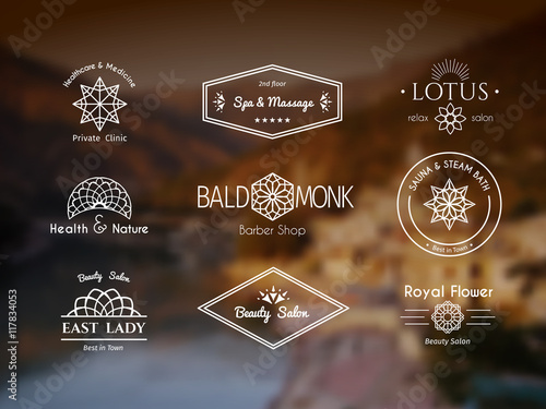 Vector asian logo templates