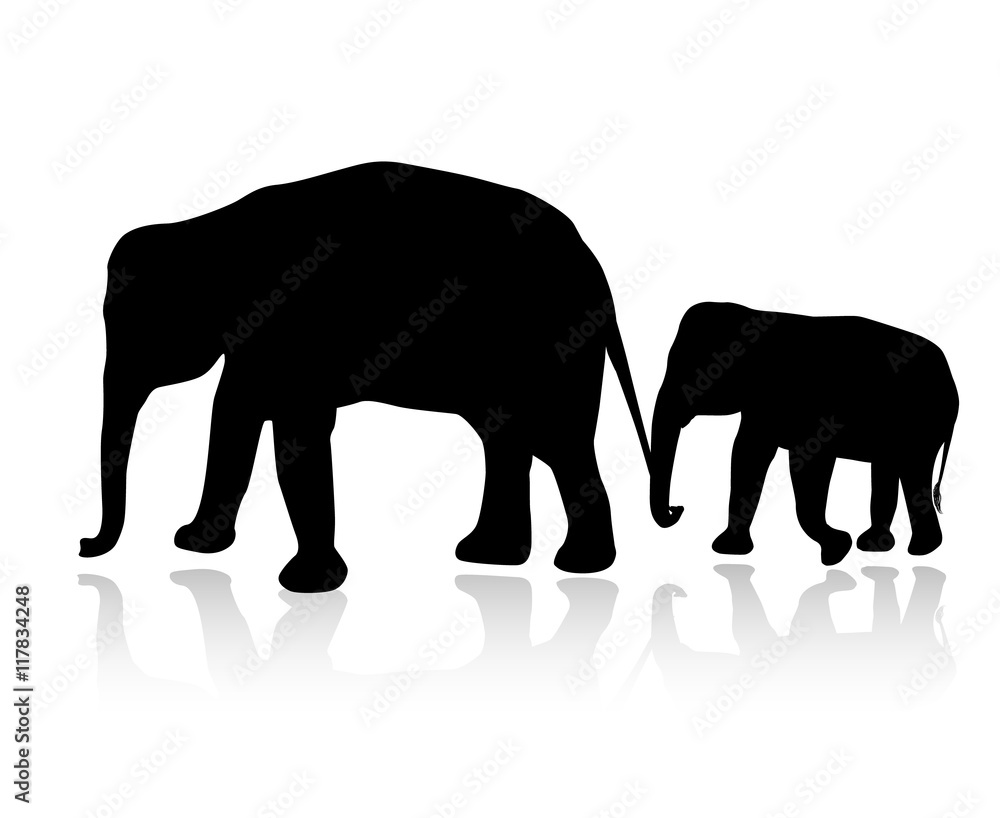Elephant family silhouette isolated on white background Elephant family silhouette isolated on white background