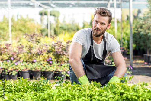 Portrait of a handsome gardener in apron with green plants. Worker taking care of plants in the hotbed.