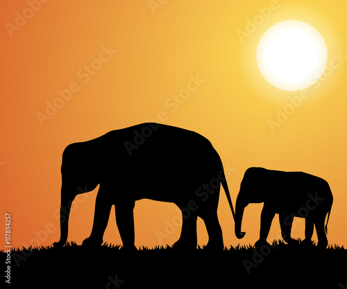 Elephant silhouettes in Africa