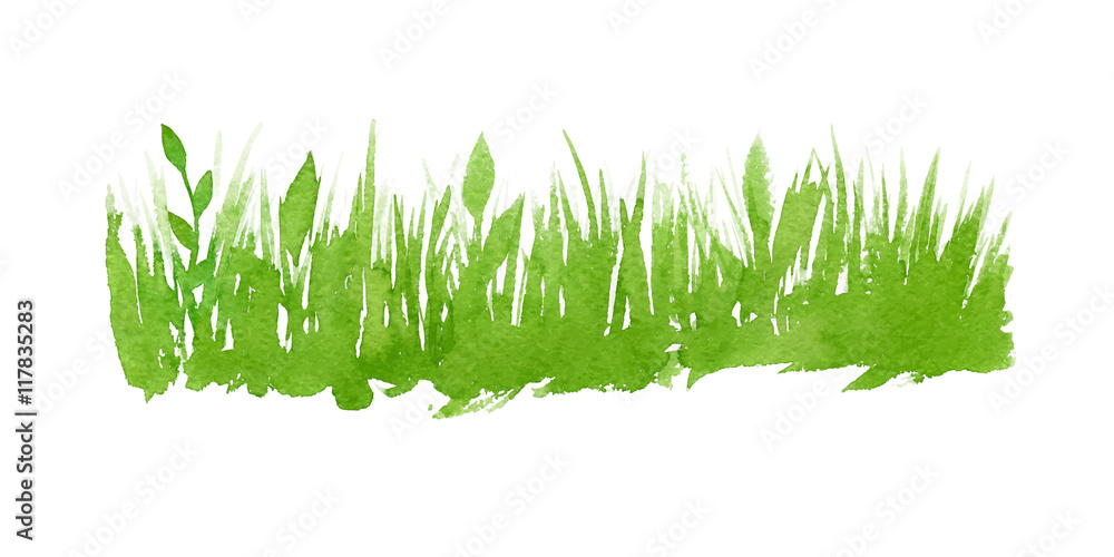 Vector green watercolor natural, organic, bio, eco label and shape, grass on white background. Hand drawn stain. - obrazy, fototapety, plakaty 