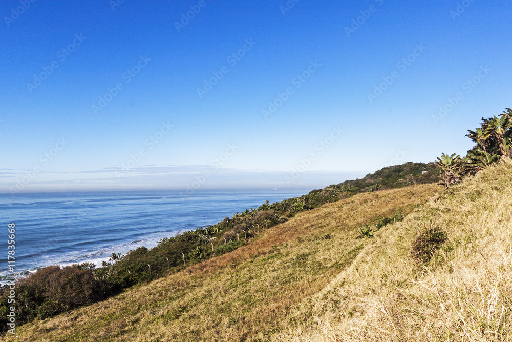 Fototapeta premium Dune Vegetation and Distant Ocean and Blue Coastal Skyline