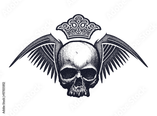 Black and white human skull