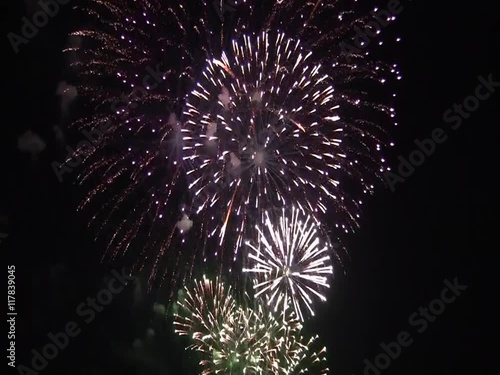 Colorful fireworks on the black sky background