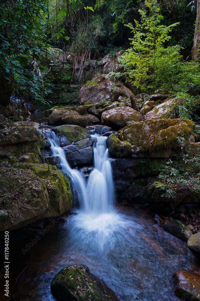 evergreen forest in thailand and water fall evergreen forest in thailand and water fall