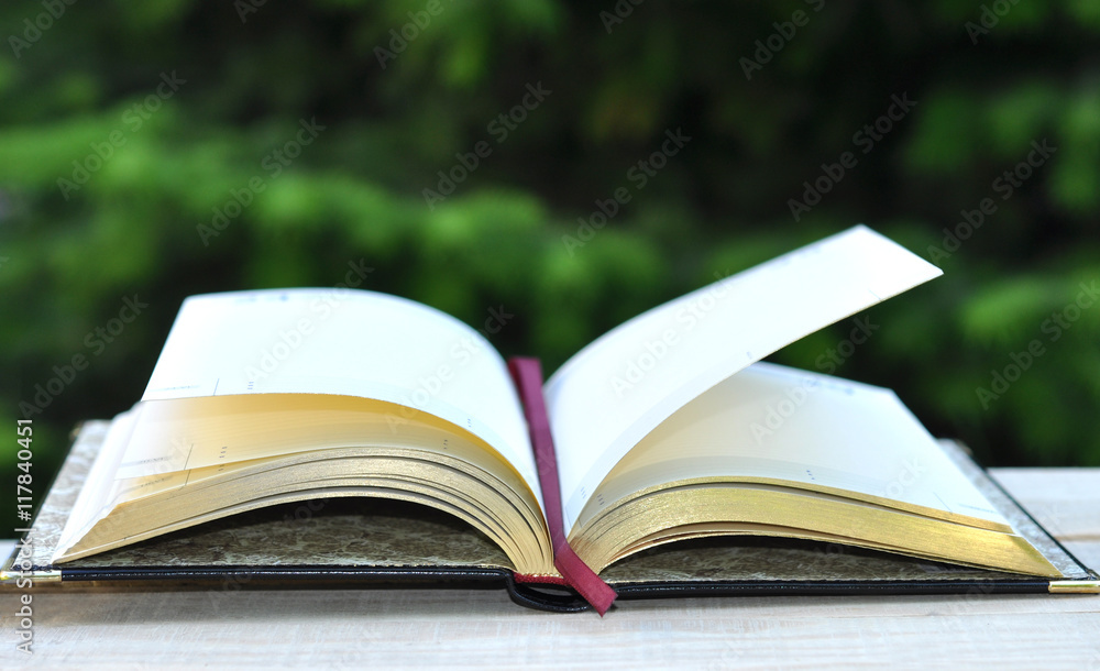 Open Book on Wood Table in Summer Garden Open Book on Wood Table in Summer Garden