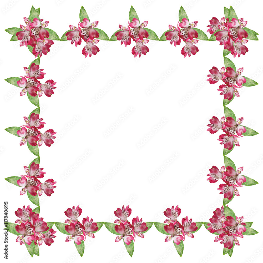Beautiful floral background with pink alstroemeria 
