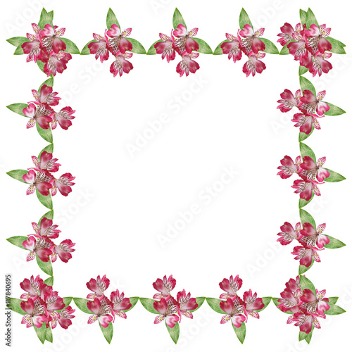Wallpaper Mural Beautiful floral background with pink alstroemeria  Torontodigital.ca