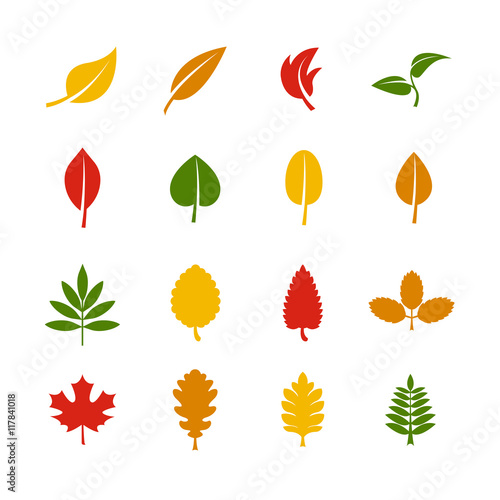 Leaf vector color icons