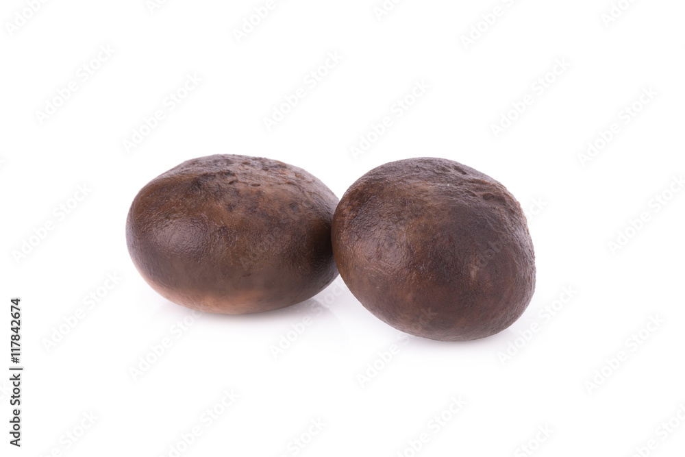 Mushroom - Barometer Earthstars isolate on white Mushroom - Barometer Earthstars isolate on white