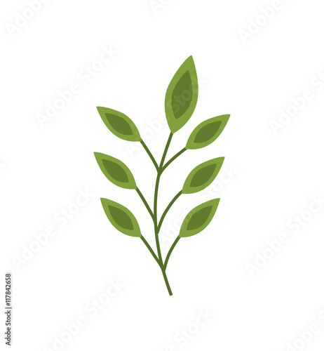 leaf leaves green nature plant icon. Isolated and flat illustration. Vector graphic