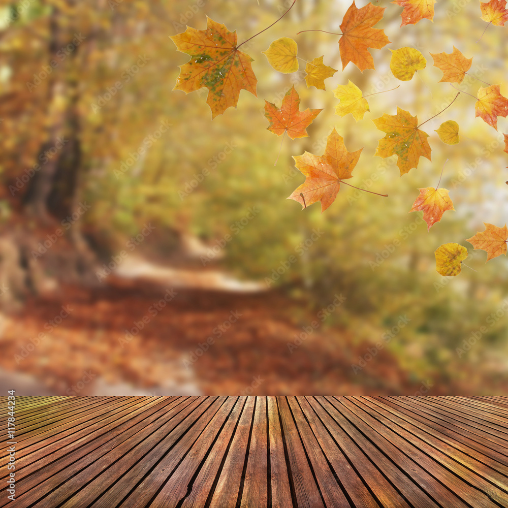 Autumn background