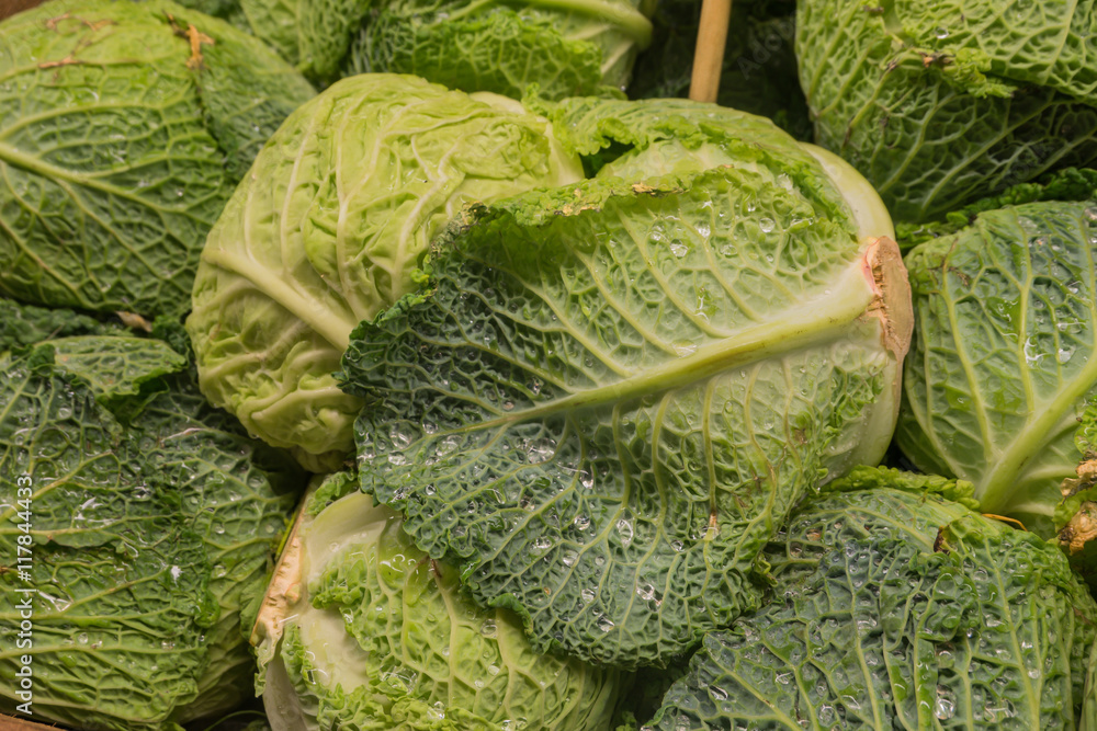 Fototapeta premium Fresh cabbage vegetable wet with water, Close up 