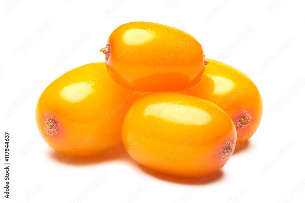 Four sea buckthorn berries, clipping paths Four sea buckthorn berries, clipping paths