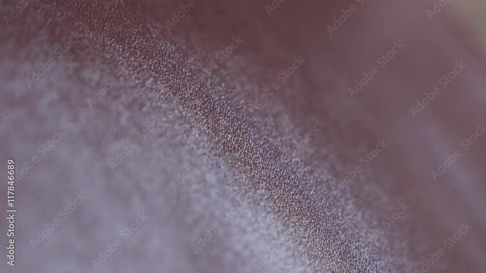 Shallow DOF real brown leather surface texture close-up tilting 4K 2160p 30fps UltraHD video - Slow tilt over natural leather shiny surface 4K 3840X2160 UHD footage Shallow DOF real brown leather surface texture close-up tilting 4K 2160p 30fps UltraHD video - Slow tilt over natural leather shiny surface 4K 3840X2160 UHD footage