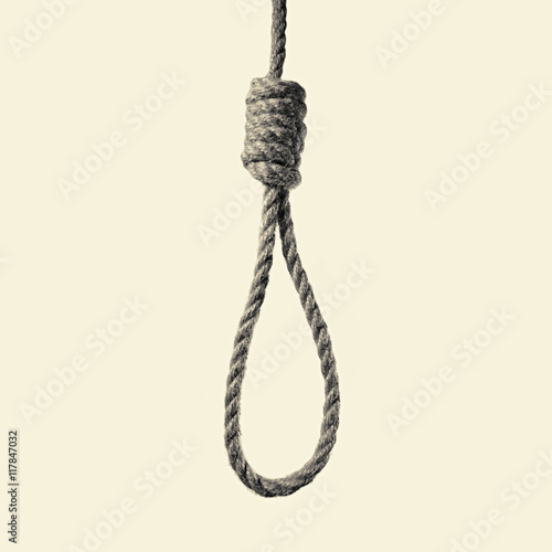 toned image of a hanging rope with Lynch's loop photo