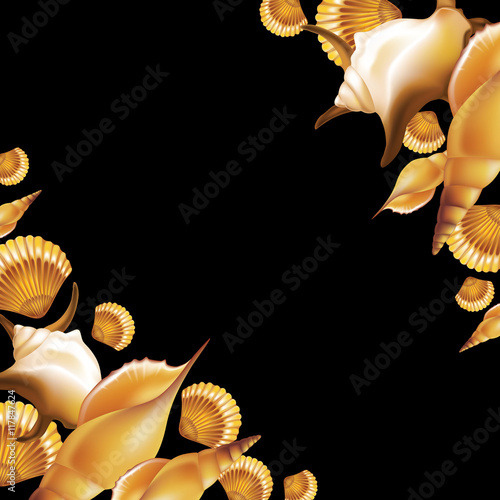 Shells on black background. Vector illustration.
