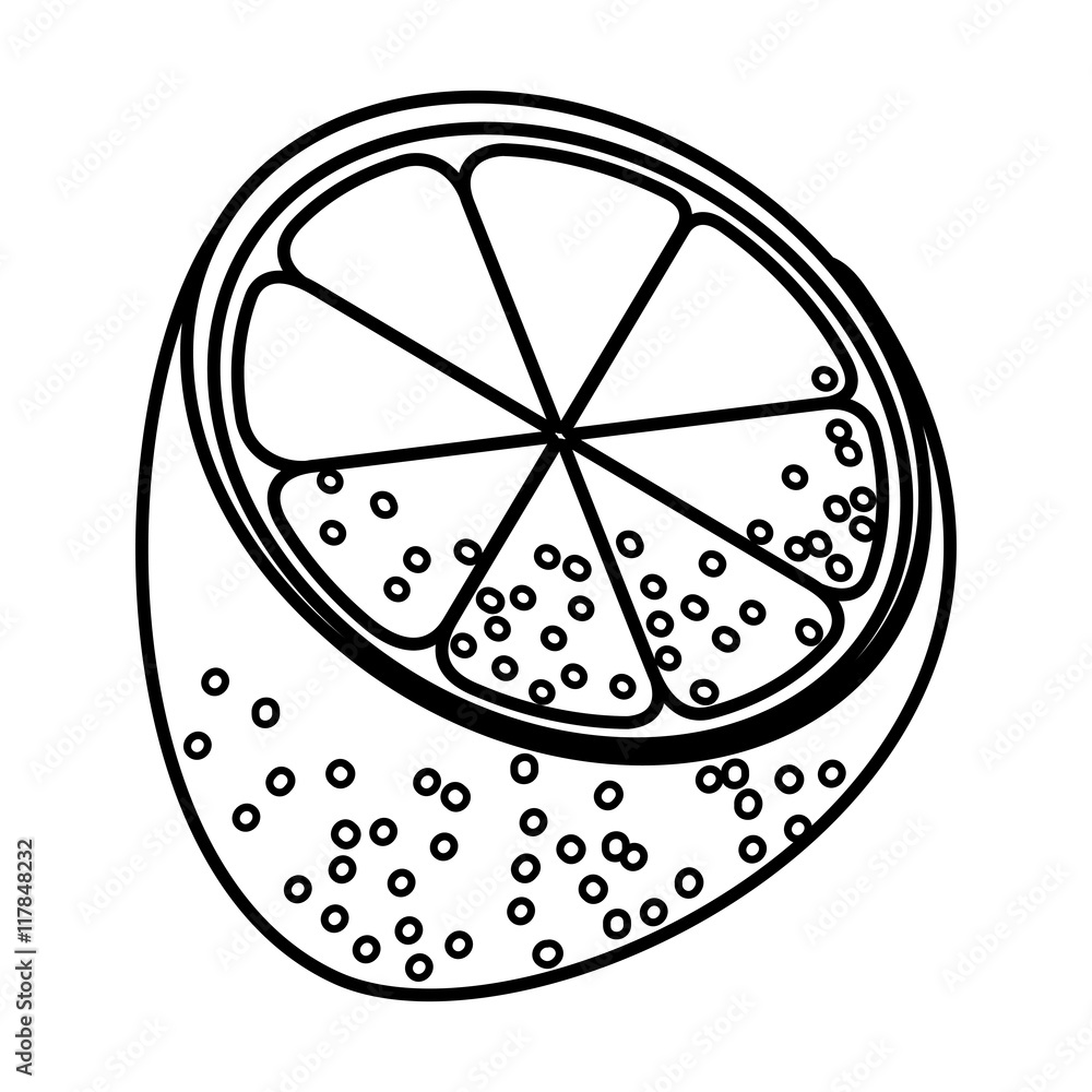 Delicious and fresh lemon fruit, vector illustration. Delicious and fresh lemon fruit, vector illustration.