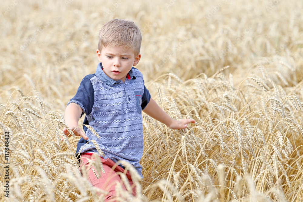 Small very handsome , cute, clever, well- mannered blond boy walks in the field and is looking for something Small very handsome , cute, clever, well- mannered blond boy walks in the field and is looking for something