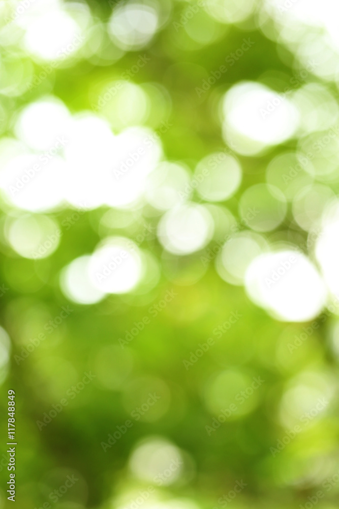 Obraz premium Abstract green nature bokeh background