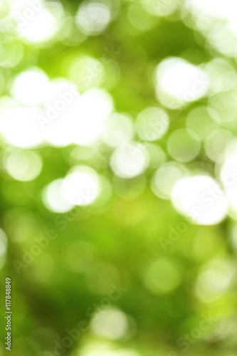 Abstract green nature bokeh background
