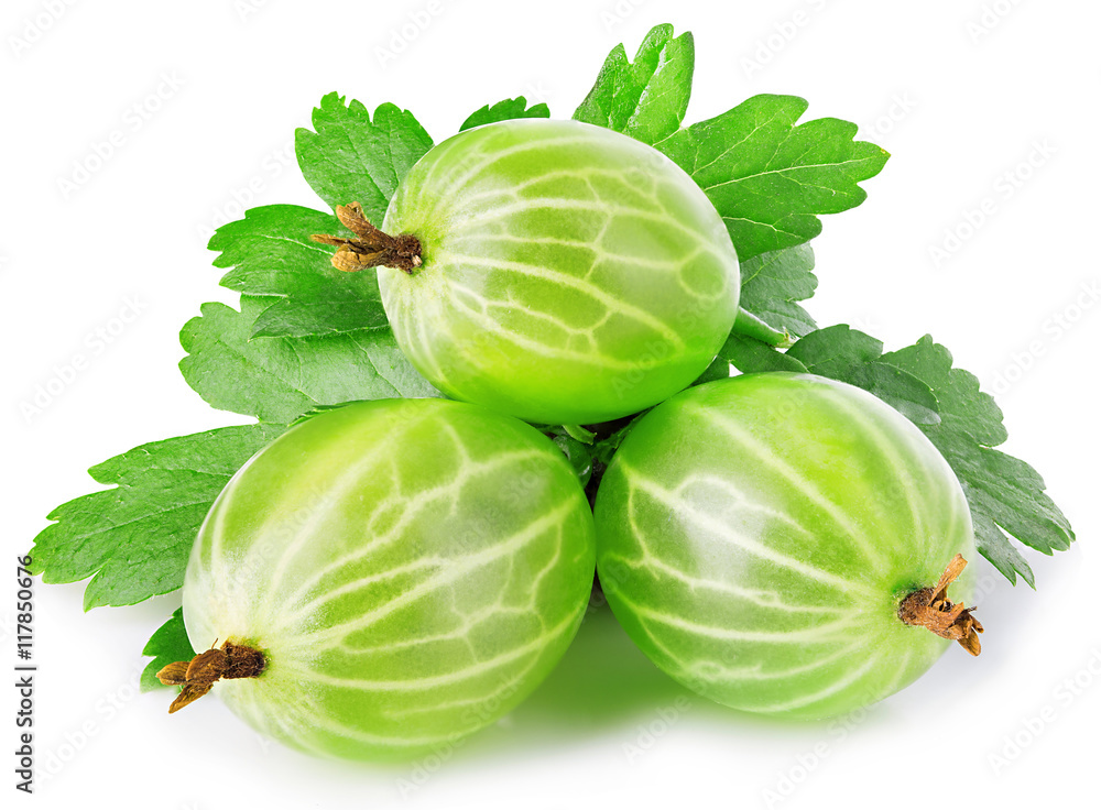 Fresh green gooseberry with leaf close-up isolated on a white background. Fresh green gooseberry with leaf close-up isolated on a white background.
