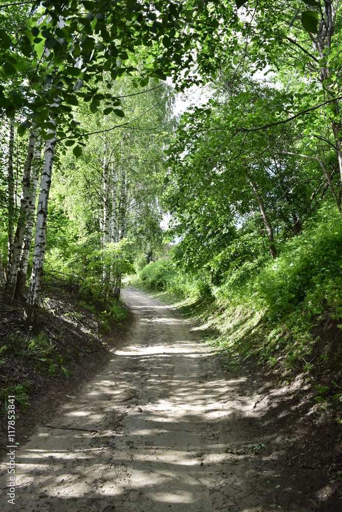 Fototapeta premium узкая дорожка