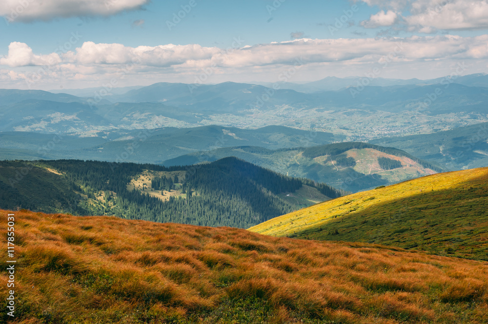Naklejka premium Karpaty latem