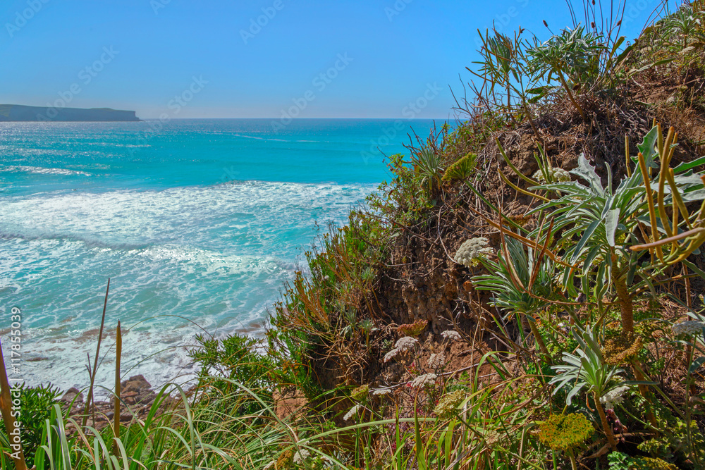 Steep slope on an ocean coast in the summer